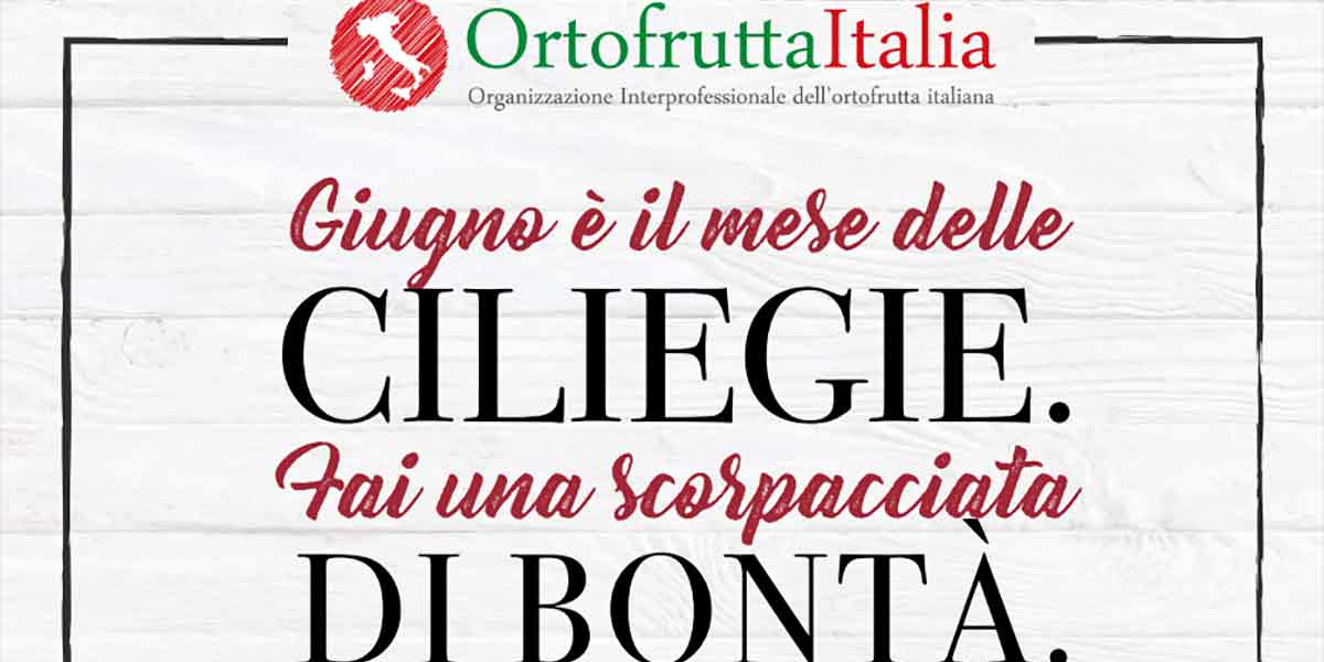 La stagione delle ciliegie entra nel vivo, giugno mese cardine